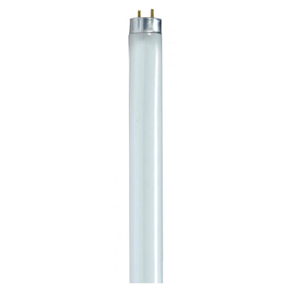 Tubular Fluorescent Lamp: 32 W, T8, Medium Bi-Pin