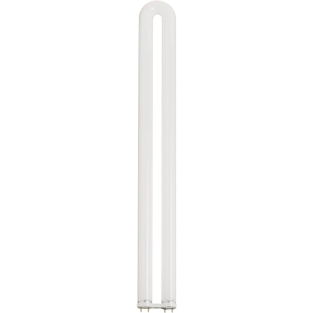 Tubular Fluorescent Lamp: 31 W, T8-1 5/BU, Medium Bi-Pin