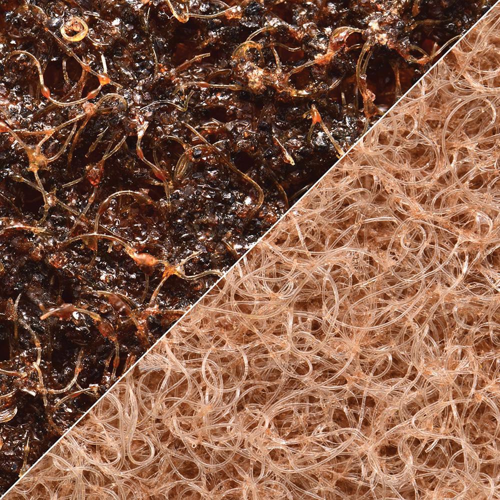 Abrasive Belt: 1-1/2" Wide, 30" OAL, Aluminum Oxide