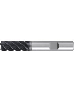 Square End Mill; 10 mm Dia. × 22 mm LOC × 10 mm Shank Dia. × 72 mm OAL ; 5 FL ; Carbide ; AlCr ; Series 2531L