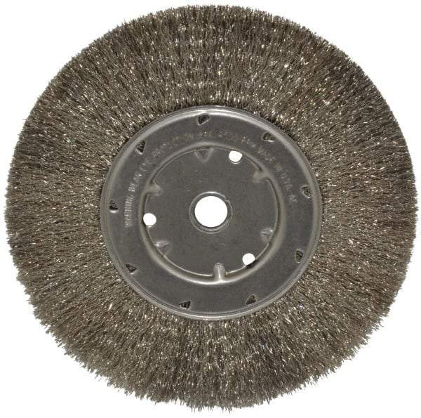 Anderson - 8" OD, 5/8" Arbor Hole, Crimped Stainless Steel Wheel Brush - 1/2" Face Width, 1-13/16" Trim Length, 0.0104" Filament Diam, 4,500 RPM - Exact Industrial Supply