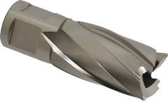 Hougen - 21mm Diam x 25mm Deep High Speed Steel Annular Cutter - Exact Industrial Supply