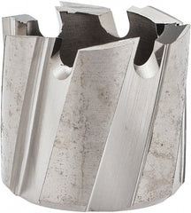 Hougen - 17mm Diam x 1/4" Deep High Speed Steel Annular Cutter - Exact Industrial Supply