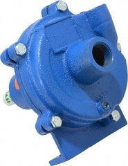 American Machine & Tool - 3/4 Inch Inlet, 1/2 Inch Outlet, Cast Iron, Pedestal Mount Pump - O Ring Casing Seal - Exact Industrial Supply