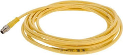 Brad Harrison - 4 Amp, M8 Male Straight to Pigtail Cordset Sensor and Receptacle - 60 VAC, 75 VDC, 4m Cable Length, IP68 Ingress Rating - Exact Industrial Supply