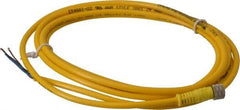 Brad Harrison - 4 Amp, M8 Female Straight to Pigtail Cordset Sensor and Receptacle - 60 VAC, 75 VDC, 2m Cable Length, IP68 Ingress Rating - Exact Industrial Supply