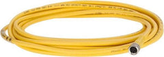Brad Harrison - 3 Amp, M8 Female Straight to Pigtail Cordset Sensor and Receptacle - 60 VAC, 75 VDC, 4m Cable Length, IP68 Ingress Rating - Exact Industrial Supply
