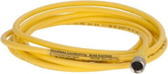 Brad Harrison - 3 Amp, M8 Female Straight to Pigtail Cordset Sensor and Receptacle - 60 VAC, 75 VDC, 2m Cable Length, IP68 Ingress Rating - Exact Industrial Supply