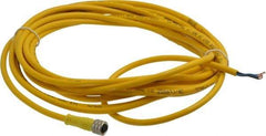 Brad Harrison - 3 Amp, M8 Female Straight to Pigtail Cordset Sensor and Receptacle - 60 VAC, 75 VDC, 5m Cable Length, IP68 Ingress Rating - Exact Industrial Supply
