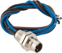 Brad Harrison - 4 Amp, M8 Male Straight Receptacle - 60 VAC, 75 VDC, 0.30m Cable Length, IP67 Ingress Rating - Exact Industrial Supply