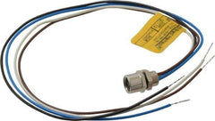 Brad Harrison - 4 Amp, M8 Female Straight Receptacle - 60 VAC, 75 VDC, 0.30m Cable Length, IP67 Ingress Rating - Exact Industrial Supply