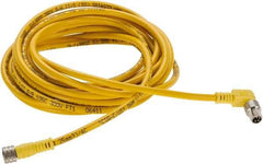 Brad Harrison - 4 Amp, Female 90° to Male 90° Cordset Sensor and Receptacle - 250 VAC/VDC, 4m Cable Length, IP68 Ingress Rating - Exact Industrial Supply