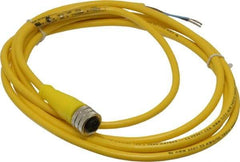 Brad Harrison - 4 Amp, M12 Female Straight to Pigtail Cordset Sensor and Receptacle - 250 VAC/VDC, 2m Cable Length, IP67 Ingress Rating - Exact Industrial Supply