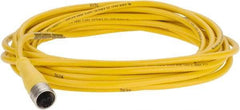 Brad Harrison - 4 Amp, M12 Female Straight to Pigtail Cordset Sensor and Receptacle - 250 VAC/VDC, 5m Cable Length, IP67 Ingress Rating - Exact Industrial Supply