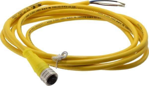Brad Harrison - 4 Amp, M12 Female Straight to Pigtail Cordset Sensor and Receptacle - 250 VAC/VDC, 2m Cable Length, IP67 Ingress Rating - Exact Industrial Supply