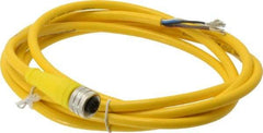 Brad Harrison - 4 Amp, M12 Female Straight to Pigtail Cordset Sensor and Receptacle - 250 VAC/VDC, 2m Cable Length, IP67 Ingress Rating - Exact Industrial Supply