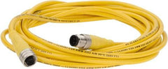 Brad Harrison - 4 Amp, M12 Male Straight to Female Straight Cordset Sensor and Receptacle - 250 VAC/VDC, 4m Cable Length, IP67 Ingress Rating - Exact Industrial Supply