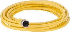 Brad Harrison - Female Straight Cordset Sensor and Receptacle - 250 VAC/VDC, 4m Cable Length, IP68 Ingress Rating - Exact Industrial Supply
