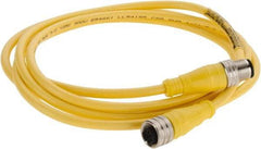 Brad Harrison - Female to Male Cordset Sensor and Receptacle - 250 VAC/VDC, 2m Cable Length, IP68 Ingress Rating - Exact Industrial Supply