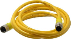 Brad Harrison - Female to Male Cordset Sensor and Receptacle - 250 VAC/VDC, 2m Cable Length, IP68 Ingress Rating - Exact Industrial Supply