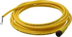 Brad Harrison - Female Straight Cordset Sensor and Receptacle - 250 VAC/VDC, 12 Ft. Long Cable, IP68 Ingress Rating - Exact Industrial Supply