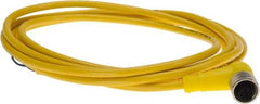 Brad Harrison - 4 Amp, M12 Female 90° to Pigtail Cordset Sensor and Receptacle - 250 VAC/VDC, 2m Cable Length, IP67 Ingress Rating - Exact Industrial Supply