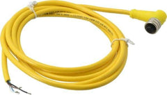 Brad Harrison - 4 Amp, M12 Female 90° to Pigtail Cordset Sensor and Receptacle - 250 VAC/VDC, 2m Cable Length, IP67 Ingress Rating - Exact Industrial Supply