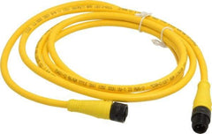 Brad Harrison - Female to Male Cordset Sensor and Receptacle - 250 VAC/VDC, 6 Ft. Long Cable, IP68 Ingress Rating - Exact Industrial Supply
