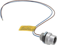 Brad Harrison - 4 Amp, 1/2-20 UNF Female Straight Receptacle - 250 VAC/VDC, 0.31m Cable Length, IP67 Ingress Rating - Exact Industrial Supply