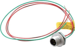 Brad Harrison - 4 Amp, 1/2-20 UNF Male Straight Receptacle - 250 VAC/VDC, 0.31m Cable Length, IP67 Ingress Rating - Exact Industrial Supply