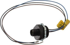 Brad Harrison - 4 Amp, M12 Male Straight Receptacle - 250 VAC/VDC, 0.31m Cable Length, IP67 Ingress Rating - Exact Industrial Supply