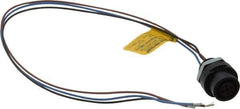 Brad Harrison - 4 Amp, M12 Female Straight Receptacle - 250 VAC/VDC, 0.31m Cable Length, IP67 Ingress Rating - Exact Industrial Supply