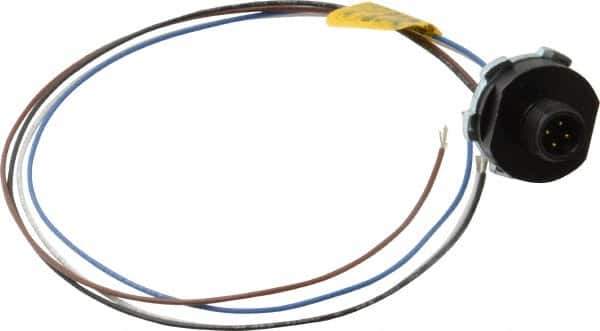 Brad Harrison - 4 Amp, M12 Male Straight Receptacle - 250 VAC/VDC, 0.31m Cable Length, IP67 Ingress Rating - Exact Industrial Supply