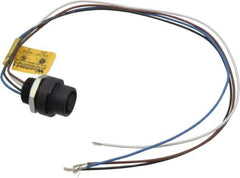 Brad Harrison - 4 Amp, M12 Female Straight Receptacle - 250 VAC/VDC, 0.31m Cable Length, IP67 Ingress Rating - Exact Industrial Supply