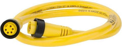 Brad Harrison - 8 Amp, Female Straight, Male Straight Cordset Sensor and Receptacle - 600 Volt, 0.91m Cable Length, IP67 Ingress Rating - Exact Industrial Supply
