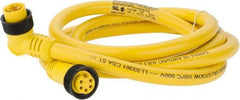 Brad Harrison - 8 Amp, Female 90° to Male 90° Cordset Sensor and Receptacle - 600 VAC/VDC, 6 Ft. Long Cable, IP68 Ingress Rating - Exact Industrial Supply