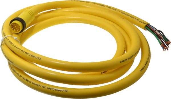 Brad Harrison - 5 Amp, Male Straight to Pigtail Cordset Sensor and Receptacle - 600 Volt, 3.66m Cable Length, IP67 Ingress Rating - Exact Industrial Supply