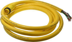 Brad Harrison - 5 Amp, Male Straight to Pigtail Cordset Sensor and Receptacle - 600 Volt, 3.66m Cable Length, IP67 Ingress Rating - Exact Industrial Supply