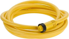 Brad Harrison - 8 Amp, Female Straight to Pigtail Cordset Sensor and Receptacle - 600 Volt, 3.66m Cable Length, IP67 Ingress Rating - Exact Industrial Supply