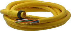 Brad Harrison - 7 Amp, Male Straight to Pigtail Cordset Sensor and Receptacle - 600 Volt, 3.66m Cable Length, IP67 Ingress Rating - Exact Industrial Supply