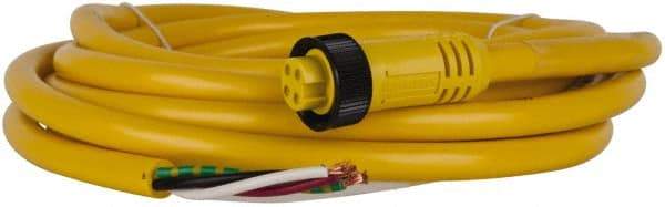 Brad Harrison - 10 Amp, Female Straight to Pigtail Cordset Sensor and Receptacle - 600 Volt, 3.66m Cable Length, IP67 Ingress Rating - Exact Industrial Supply