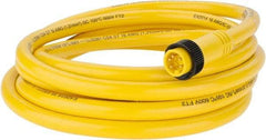 Brad Harrison - 8 Amp, Male Straight to Pigtail Cordset Sensor and Receptacle - 600 Volt, 3.66m Cable Length, IP67 Ingress Rating - Exact Industrial Supply