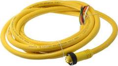 Brad Harrison - 8 Amp, Female Straight to Pigtail Cordset Sensor and Receptacle - 600 Volt, 3.66m Cable Length, IP67 Ingress Rating - Exact Industrial Supply