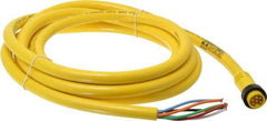 Brad Harrison - 8 Amp, Male Straight to Pigtail Cordset Sensor and Receptacle - 600 Volt, 3.66m Cable Length, IP67 Ingress Rating - Exact Industrial Supply