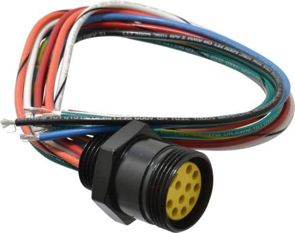 Brad Harrison - 7 Amp, Female Straight Receptacle - 600 VAC/VDC, 0.31m Cable Length, IP67 Ingress Rating - Exact Industrial Supply