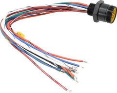 Brad Harrison - 5 Amp, Male Straight Receptacle - 600 VAC/VDC, 0.31m Cable Length, IP67 Ingress Rating - Exact Industrial Supply
