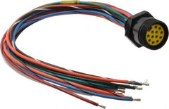 Brad Harrison - 8 Amp, Female Straight Receptacle - 600 VAC/VDC, 0.31m Cable Length, IP67 Ingress Rating - Exact Industrial Supply
