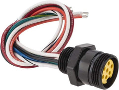 Brad Harrison - 8 Amp, Female Straight Receptacle - 600 VAC/VDC, 0.31m Cable Length, IP67 Ingress Rating - Exact Industrial Supply