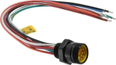 Brad Harrison - 7 Amp, Male Straight Receptacle - 600 VAC/VDC, 0.31m Cable Length, IP67 Ingress Rating - Exact Industrial Supply
