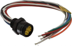 Brad Harrison - 7 Amp, Female Straight Receptacle - 600 VAC/VDC, 0.31m Cable Length, IP67 Ingress Rating - Exact Industrial Supply